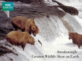 A földkerekség legnagyobb állatparádéja (2000)