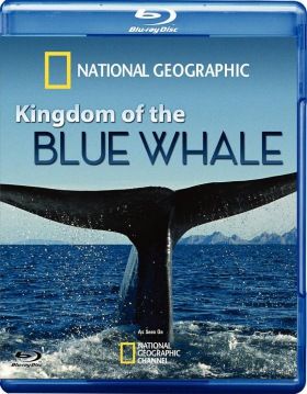 A kék bálna birodalma (2009)