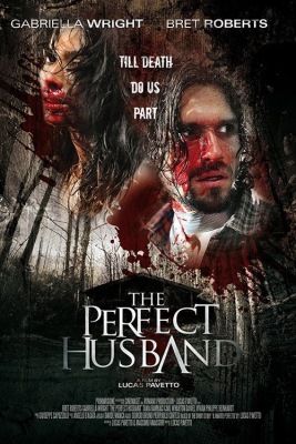 A tökéletes férj (2014)