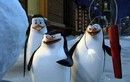 A Madagaszkár-pingvinek és a karácsonyi küldetés (2005)
