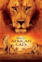 Afrikai macskák (200)