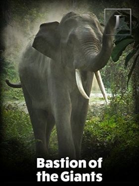 Az ázsiai elefánt - Kaziranga Nemzeti Park (2015)