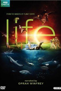 Az Élet 1. évad (2009)