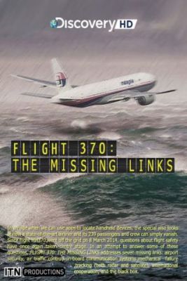 Az eltűnt maláj járat nyomában (2014)