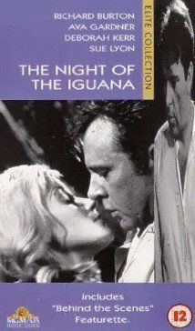 Az iguána éjszakája (1964)