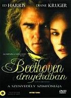 Beethoven árnyékában (2006)
