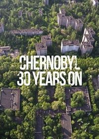 Csernobil 30 év távlatából (2015)