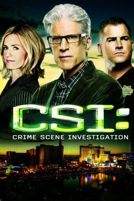 CSI: A helyszínelők 16. évad (2000)