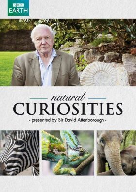 David Attenborough: A természet csodái 1. évad