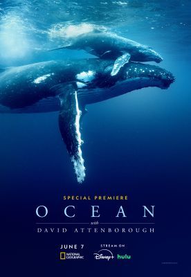 David Attenborough: Az óceán csodája (2025)