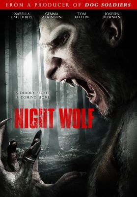 Éjjeli farkas (2010)