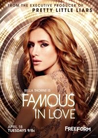 Famous in Love 1. évad (2017)