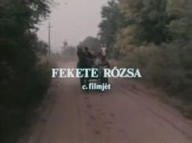 Fekete rózsa (1981)