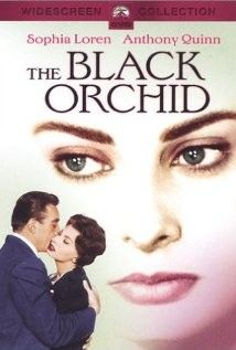 Az éjszaka kapui (Fekete orchidea) (1958)