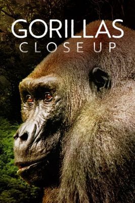 Gorillák vonzásában/Gorillas Close Up (2022)