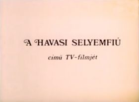 Havasi selyemfiú (1981)
