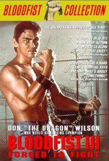 Kickbox harcos 3: Harcra kényszerítve (1992)