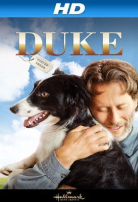 Kutyám Duke (2012)