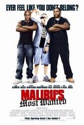 Malibui fehér csóka (2006)