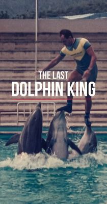 Mi történt a delfinkirállyal? (2022)