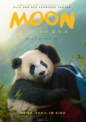 Moon, a panda (2025)