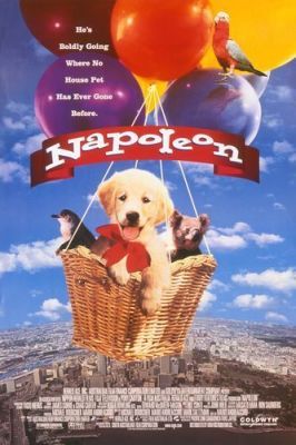 Napoleon - Kis kutya, nagy pácban (1995)