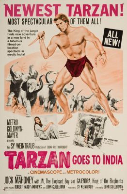 Tarzan Indiába megy (1962)
