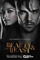 The Beauty and the Beast 1. évad (2012)