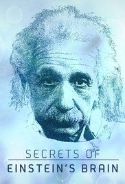 Utazás Einstein koponyája körül (Secrets Of Einstein's Brain) (2015)