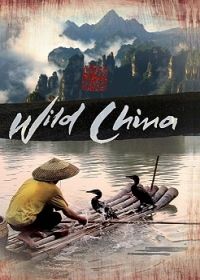 Vad Kína 1. évad (2008)