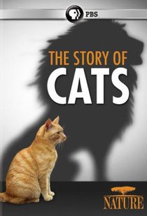 Vadóc házi kedvencünk, a macska 1. évad (2016)