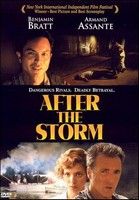 Vihar után (2001)