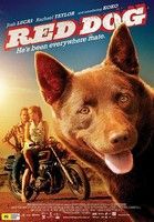 Vörös kutya - Red Dog (2011)