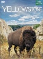 Yellowstone (2011)
